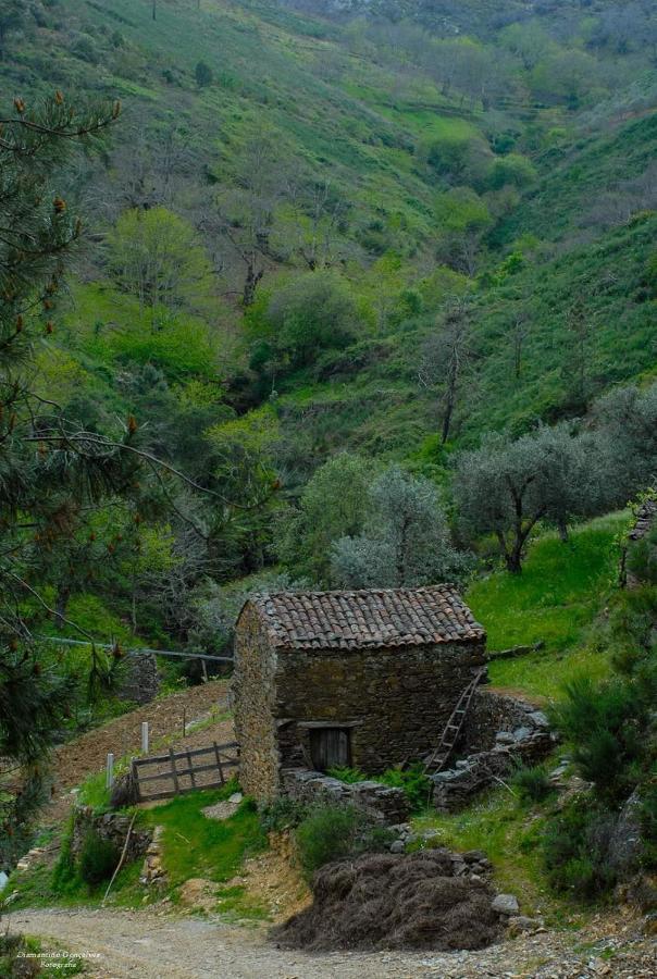 فيلا Casa Da Neta Acor  المظهر الخارجي الصورة